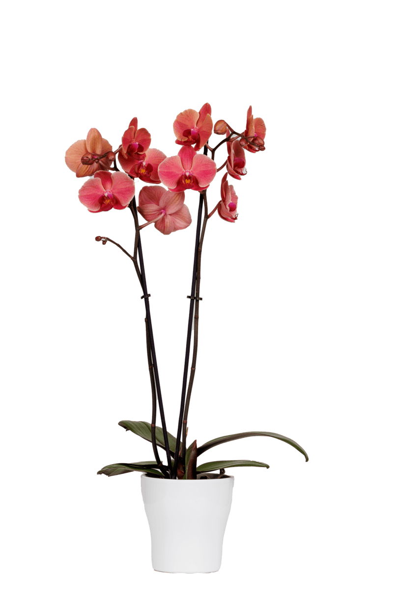 5d6f704c24dca653b4efbc94f6385bf6